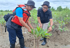 Penanaman Bibit Mangrove di Desa Sungsang IV Kecamatan Banyuasin II Kabupaten Banyuasin